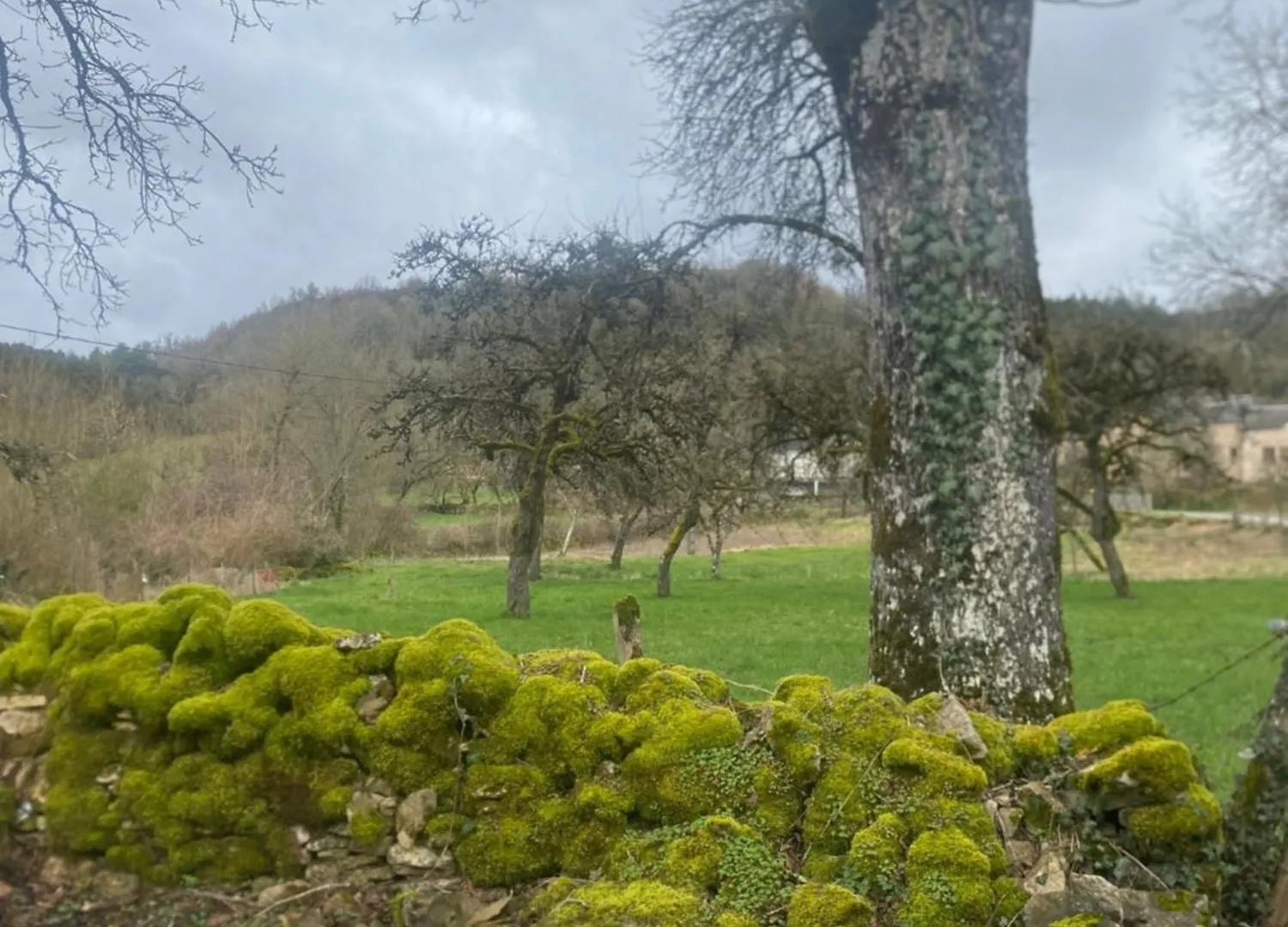 Charmant Gite En Pierre Sur Le Chemin De St Jacques De Compostelle Saint-Chély-dʼAubrac 度假居